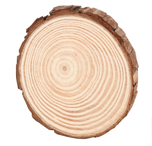 Natural Blank Wood Slice