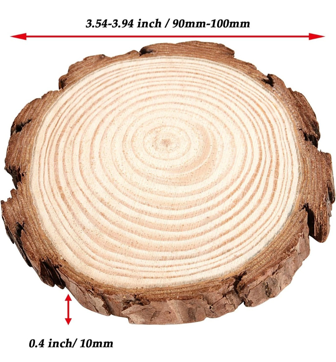 Natural Blank Wood Slice